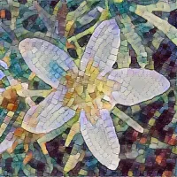 Neural Nexus: Quantum Pattern Recognition